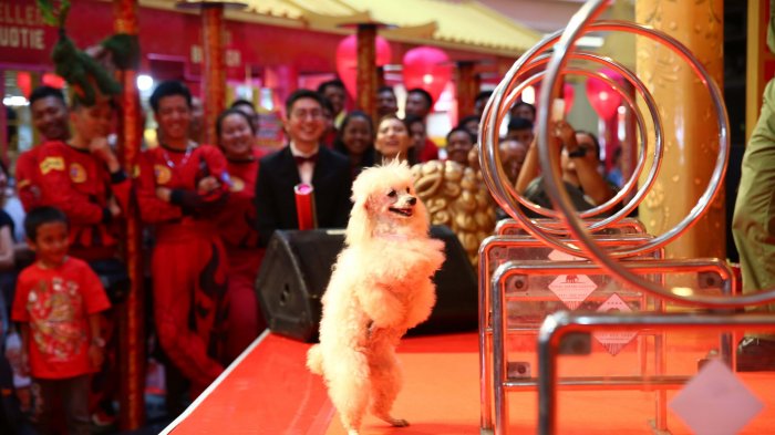 Anjing dalam Budaya Tionghoa