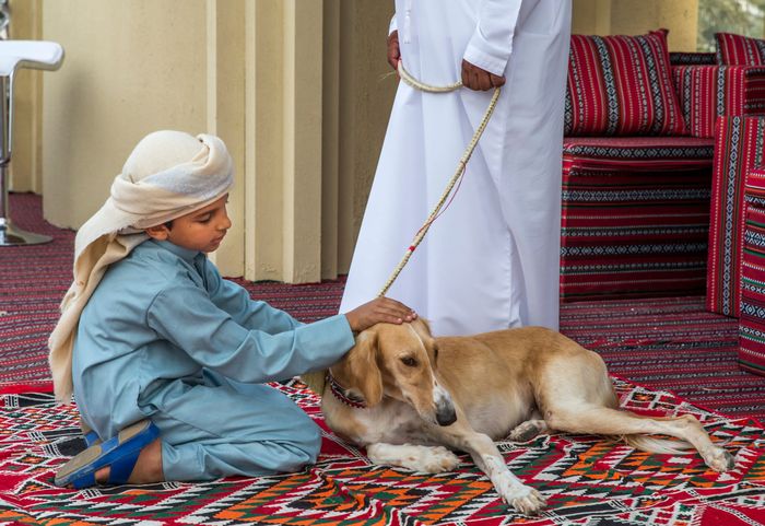 Memelihara Anjing